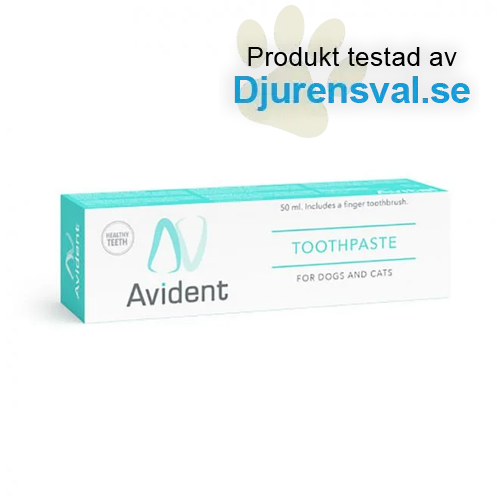 Avital Avident Tandborste och Tandkräm 50 ml